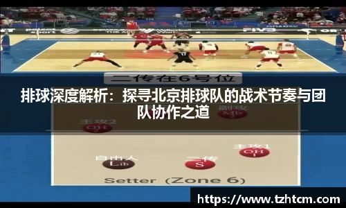 排球深度解析：探寻北京排球队的战术节奏与团队协作之道